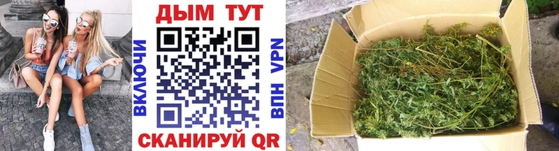 Альфа ПВП Высоцк