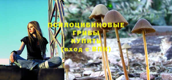 скорость Белокуриха