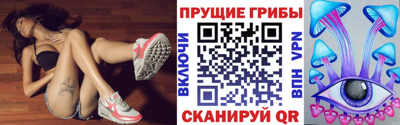 Псилоцибиновые грибы мицелий Высоцк